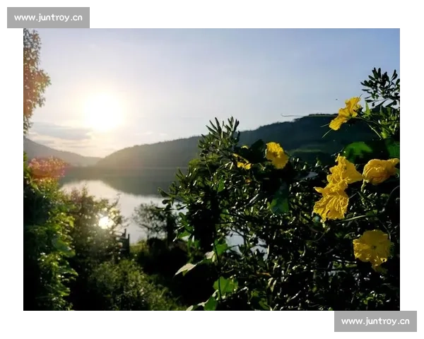 《在婚礼的光辉下，我们共同编织爱的誓言与未来的故事》